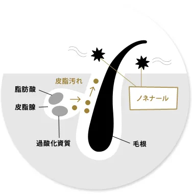 “加齢臭”はなぜ発生するのか?